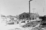 "Waihou", a suction dredge assembled the banks of the Waihou River in 1914